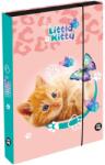 KARTON P+P A4 Jumbo Macska füzettartó box (OXYBAG_1-39526)