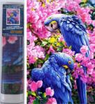 NORIMPEX - Puzzle Diamond Painting Papagali albastri 30x40cm - 1 - 39 piese