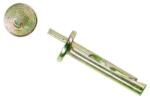 Evotools Diblu Percutie Zincat 6X40Mm, 100Buc (640183)