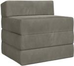 vidaXL Canapea Pat Pliabila Gri deschis 200 x 70 x 15 cm Catifea GartenMobel Dekor (900007) Canapea