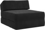 vidaXL Canapea Pat Pliabila Negru 60 x 70 x 41 cm Tesatura GartenMobel Dekor (900062) Canapea