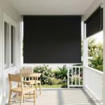 vidaXL Щора за открито с UV защита Антрацит 100 x 230 cm (Ш x В) (42041213)