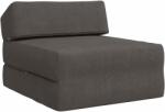 vidaXL Canapea Pat Pliabila Gri închis 60 x 70 x 41 cm Tesatura GartenMobel Dekor (900064) Canapea