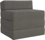 vidaXL Canapea Pat Pliabila Gri deschis 200 x 70 x 15 cm GartenMobel Dekor (900012) Canapea