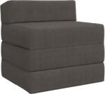 vidaXL Canapea Pat Pliabila Gri închis 200 x 70 x 10 cm GartenMobel Dekor (900030) Canapea