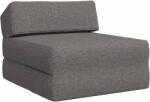 vidaXL Canapea Pat Pliabila Gri deschis 60 x 70 x 41 cm Tesatura GartenMobel Dekor (900051) Canapea