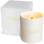 Benevolence LA Lumanare parfumata Benevolence LA, aroma de hibiscus si lemn de palmier, alba, ardere 45h (850040676310)