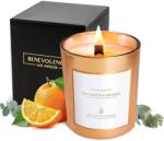 Benevolence LA Lumanare parfumata Benevolence LA, eucalipt si portocala, 227 g, sticla rose gold, ardere 45 ore (850040676327)