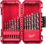 Milwaukee 4932493869 Burghiu