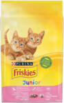 Friskies Junior Száraz Macskatáp (Csirke, Pulyka, Zöldségek és Tej) - 10 kg