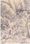 Agnella Вълнен килим в бежов и ментов цвят 170x240 cm V&A Calisia Kelp - Agnella (5901760408097)