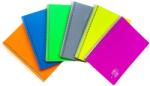 DACO Caiet A5, 144 file cu spira, coperta plastic, Daco, hartie 70g/mp (CT5144DR)