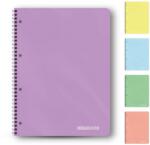 Colorarte Caiet A4, 120 file cu spira, coperta plastic, Colorarte, 5 subiecte, hartie 70g/mp (C4245)