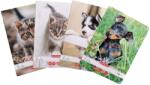 Herlitz Caiet Tip I Premium, 36 file, Herlitz, hartie 80 g/mp FSC, Cats & Dogs (9497720)