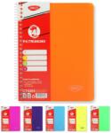 DACO Caiet A5 120 file cu spirala, 4 subiecte, hartie 70g/mp, Daco (CT5203)
