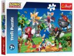 Jumbo Puzzle Jumbo Sonic în Poze de Luptă, 200 piese (1247580)