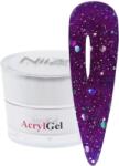  NiiZA AcrylGel - Gilded Gala Amethyst 15g