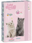 Ars Una Füzetbox ARS UNA A/5 Cute Animals-Tea Party (50865321) - fotoland