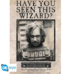 ABYstyle Harry Potter maxi poszter 91, 5x61cm Wanted Sirius Black