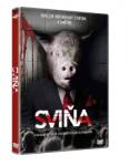 Multiland Scumbag - DVD