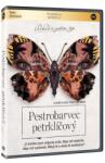 MagicBox Ducele de Burgundia - DVD
