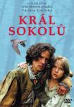 DM discont Tomáš and the Falcon King - DVD (002078)