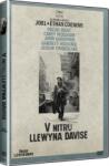 Bontonfilm a. s Inside Llewyn Davis - DVD (007575)