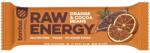 bombus Baton Proteic Raw Energy Cu Portocale Si Boabe De Cacao, 50g