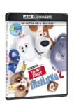 MagicBox Singuri acasă 2 - 2Blu-ray (4K Ultra HD + Blu-ray)