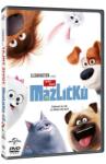 MagicBox Singuri acasă - DVD