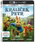Bontonfilm a. s Peter Rabbit - 2Blu-ray (4K Ultra HD + Blu-ray)