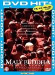 DM discont Micul Buddha - DVD (023094)