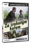 MagicBox Za trnkovým keřem (Versiune remasterizată) - DVD