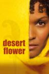 DM discont Desert Flower - DVD