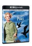 MagicBox Păsările - 2Blu-ray (UHD+BD)