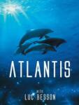 DM discont Atlantis