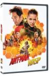 MagicBox Ant-Man and the Wasp - DVD