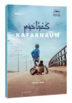 MagicBox Capernaum - DVD (028732)