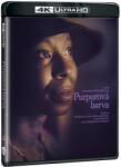 MagicBox Purpurová barva - Blu-ray (UHD)