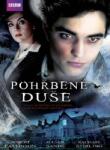 Bohemia Motion Pictures The Haunted Airman - DVD