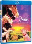 MagicBox Babe: Cel mai curajos porc din lume - Blu-ray