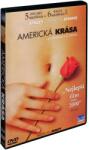 MagicBox American Beauty - DVD