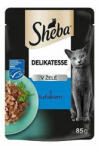 Mars-Nestlé Sheba Delicato Adult Alutasakos - Tonhal - aszpikban (85g) (264482)