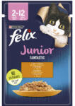 Mars-Nestlé Felix Fantastic Junior Csirkével aszpikban - nedveseledel kölyök macskák részére (85g) (786598)