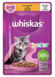 Mars-Nestlé Whiskas Junior Chicken - Nedves eledel (csirke, zselében) kölyökmacskák részére (85g) (302145)
