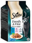 Mars-Nestlé Sheba Adult Alutasakos Halas (6x50g) (266134)