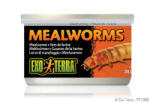 Hagen Exo-Terra Exo Terra Mealworms - eledel (Lisztkukac) terráriumi állatok részére (34g) (PT1958)