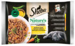 Mars-Nestlé Sheba Nature's Collection Adult Alutasakos - baromfi válogatás - aszpikban (4x85g) (265380)