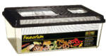 Hagen Exo-Terra Faunarium Large - Ideiglenes (téglalap) terráriumdoboz - 46x30x17cm (PT2310)