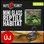 ReptiPlanet Repti Planet mini Glass Reptile Habitat - üveg terrárium (20x20x20cm) (007-60160)